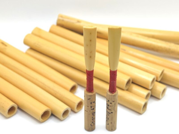 Blank reed 2