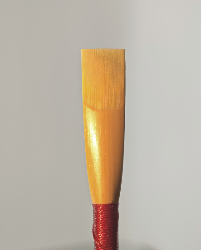 Professional oboe reed 4