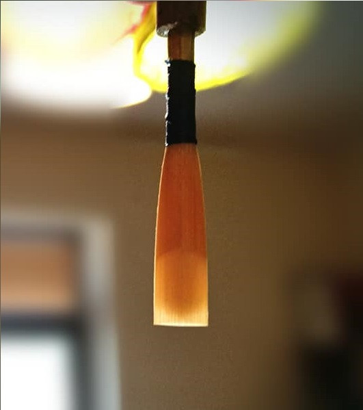 Professional oboe reed 1