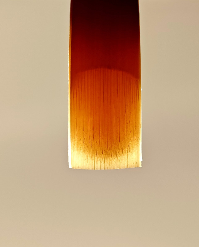 Professional oboe reed 1