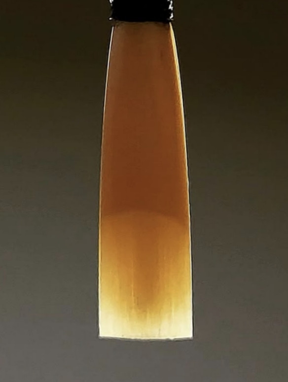 Student oboe reed 1