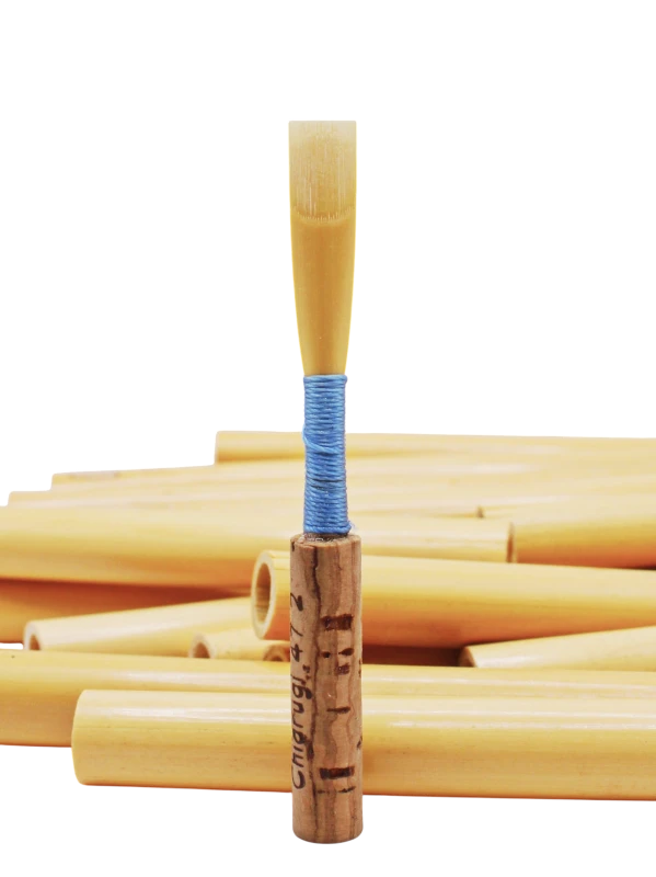 Student oboe reed