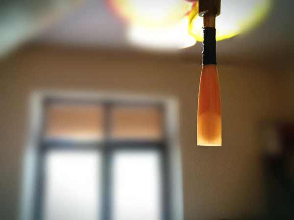 Blank reed