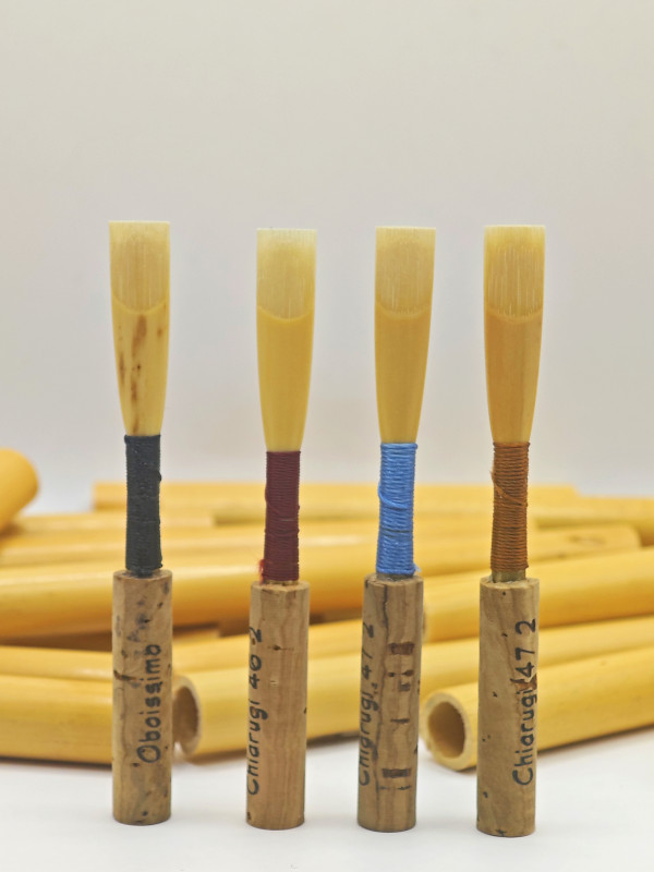 Reed on Your staple 1