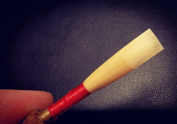 Professional oboe reed